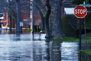 Rising Death Toll in Central Europe: Devastating Floods Hit Czech Republic, Poland, and Austria