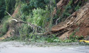 Cliffside Chaos: Landslides Disrupt Power in Exclusive LA Neighborhood